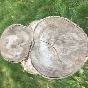 Meet your Posher, Lorena